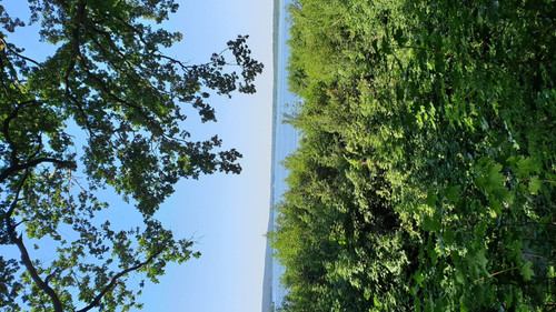 20190614 092603.jpg