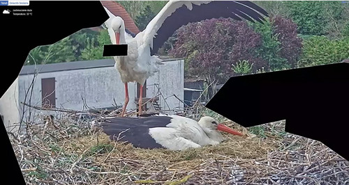 MWSnap454.jpg