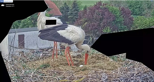 MWSnap453.jpg