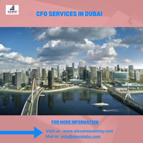 Reliable CFO Services In Dubai for Growing Business Success.png