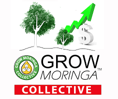 Grow Moringa