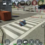 6 (3)