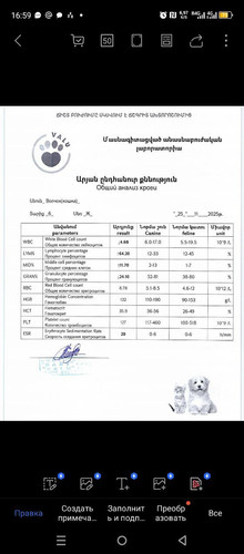 1000071413.jpg