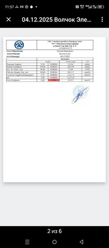 1000071411.jpg