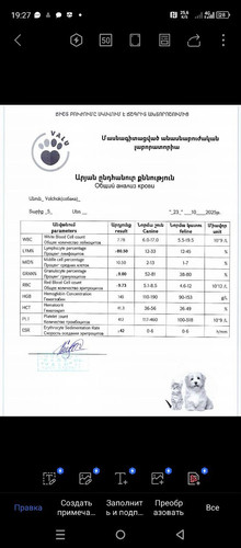 1000071421.jpg