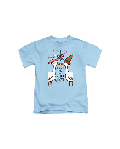 C453 mistletoe goose+Light blue.jpg