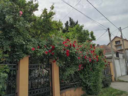 IMG 20260508 084758979 HDR.jpg