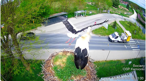MWSnap408.jpg