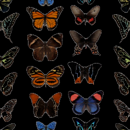 butterflyblackcollection.png