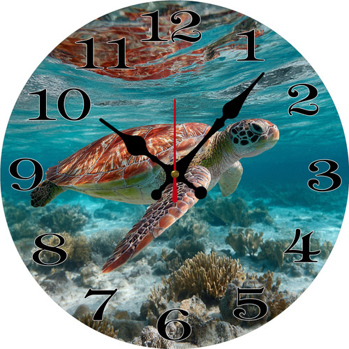 sea turtle 1 2.jpg