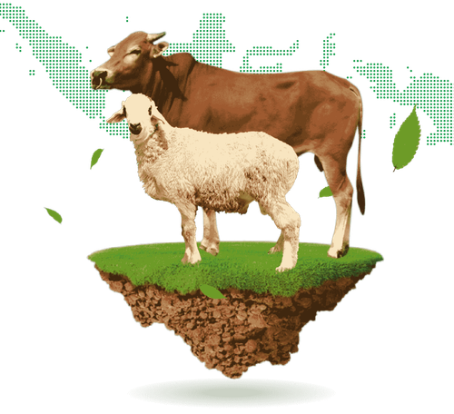 img banner kurban DD min.png