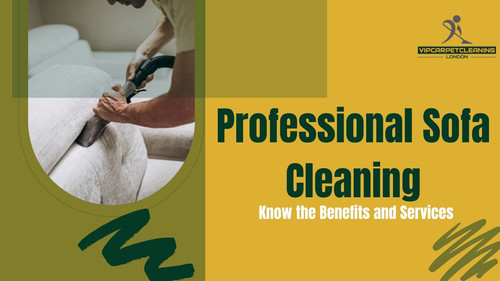 Professional Sofa Cleaning Know the Benefits and Services.jpg