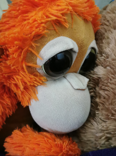 temp.png