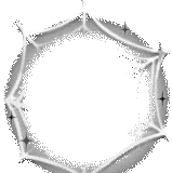 IMG 7098.gif