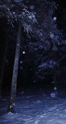 Image 1778320149344 37.jpg