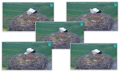 Bilder6.jpg