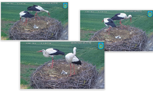 Bilder4.jpg