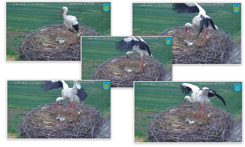 Bilder5.jpg