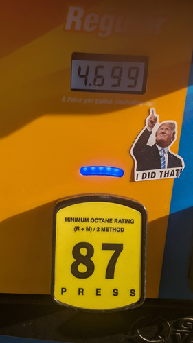 1000017309.jpg