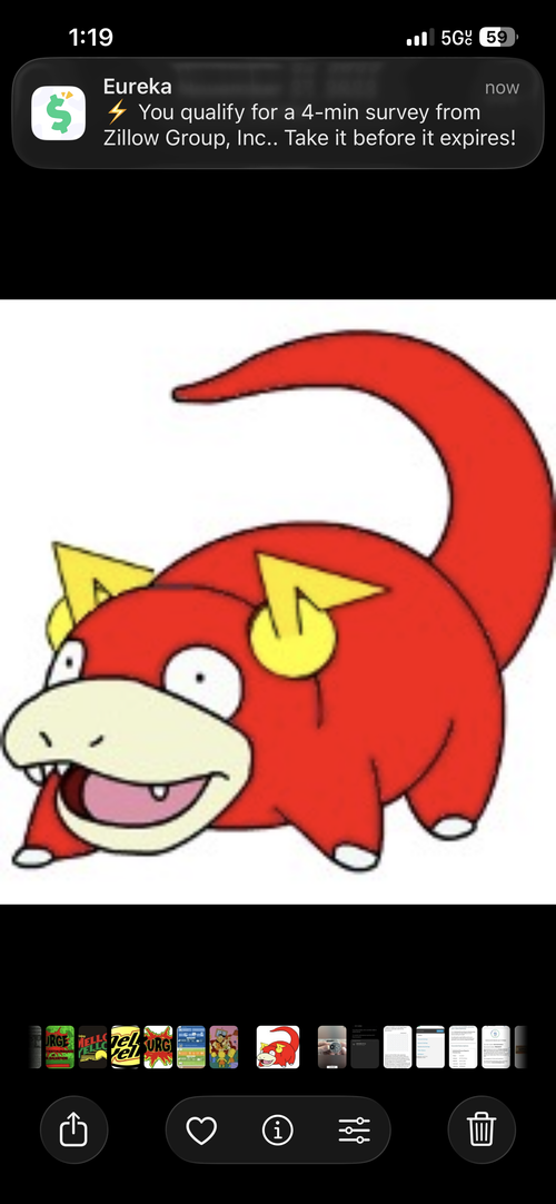IMG 2919.png