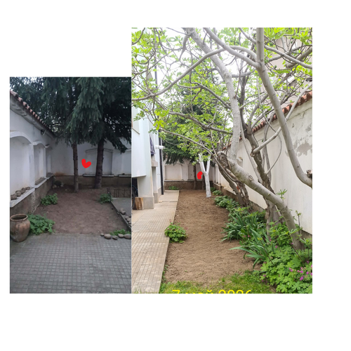 garden.png