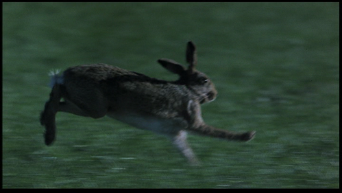 vlcsnap 2026 05 08 00h48m30s020.png