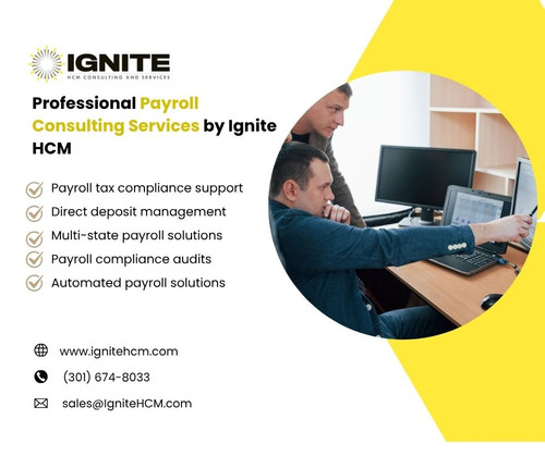 Professional Payroll Consulting Services by Ignite HCM.jpg