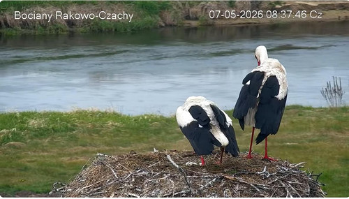MWSnap022.jpg