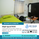Need reliable internet for productivity?