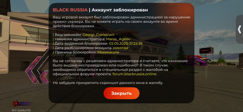 1000082105.jpg