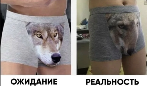 волк.png