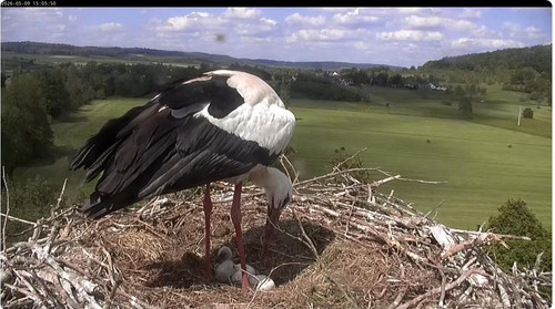 MWSnap667.jpg