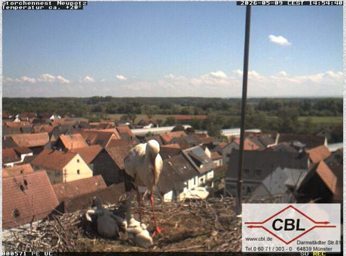 MWSnap512.jpg