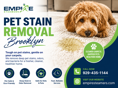 Expert Pet Stain Removal Brooklyn Deep Cleaning Specialists.png
