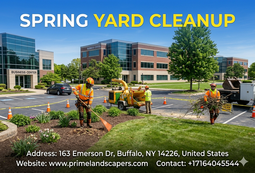 Professional Spring Yard Cleanup Services for a Fresh, Healthy Landscape.png