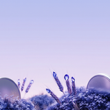 Seasons v2 Coins in Lavender — Atmospheric Hero PNG