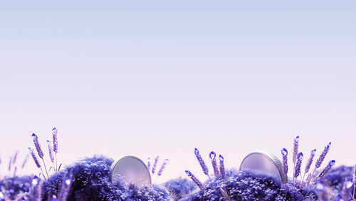 Seasons v2 Lavender Field with Coins — Brand Hero Visual (Wide).png