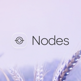 Seasons Nodes — Brand Banner (Lavender Field Hero)