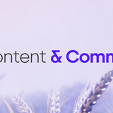 Seasons Content &amp; Community — Brand Banner (Lavender Field Hero)