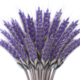 Seasons v2 Lavender Bouquet 3D Brand Element