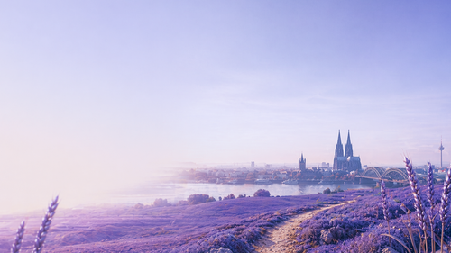 Seasons v2 City + Lavender — Atmospheric Brand PNG.png