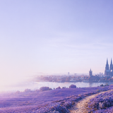 Seasons v2 City + Lavender — Atmospheric Brand PNG