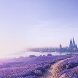 Seasons v2 City + Lavender Atmosphere — Cathedral Skyline Variant (Wide)