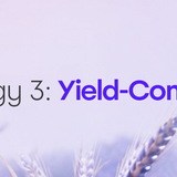 Seasons Strategy 3 — Yield-Compounding Cover Image (4-Strategy Series)