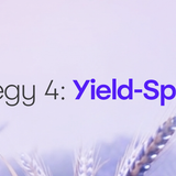 Seasons Strategy 4 — Yield-Speculation Cover Image (4-Strategy Series)