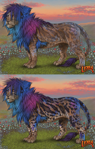 13196.jpg