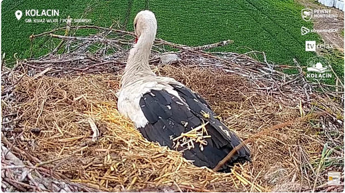 MWSnap331.jpg