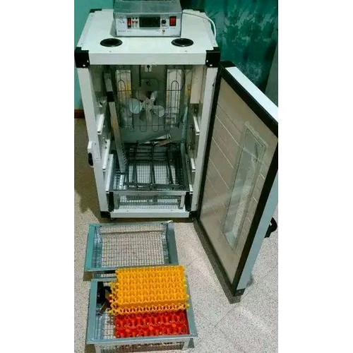 1778331329072.jpg