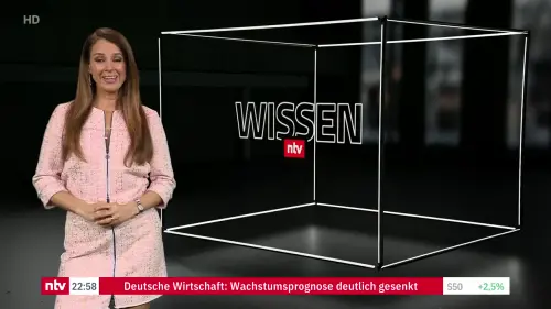 ntv Wissen 2026 04 01 preview.webp