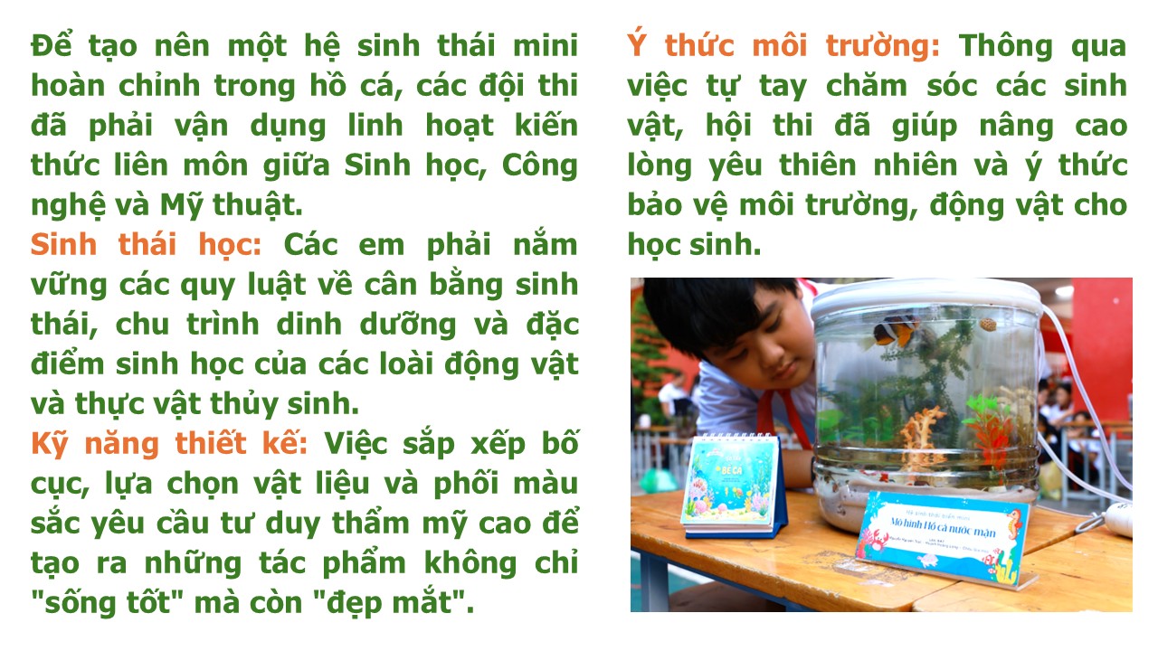 Slide3